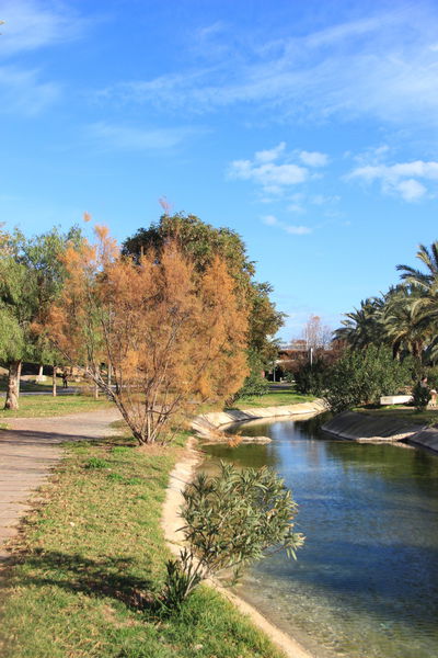 2015西班牙(8) 瓦倫西亞之圖里亞環城綠帶公園(Jardine del Turia)《齊莉藝成的幸福城堡》 @齊莉藝成的幸福城堡